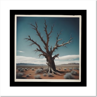 Dead tree in wild west Posters and Art